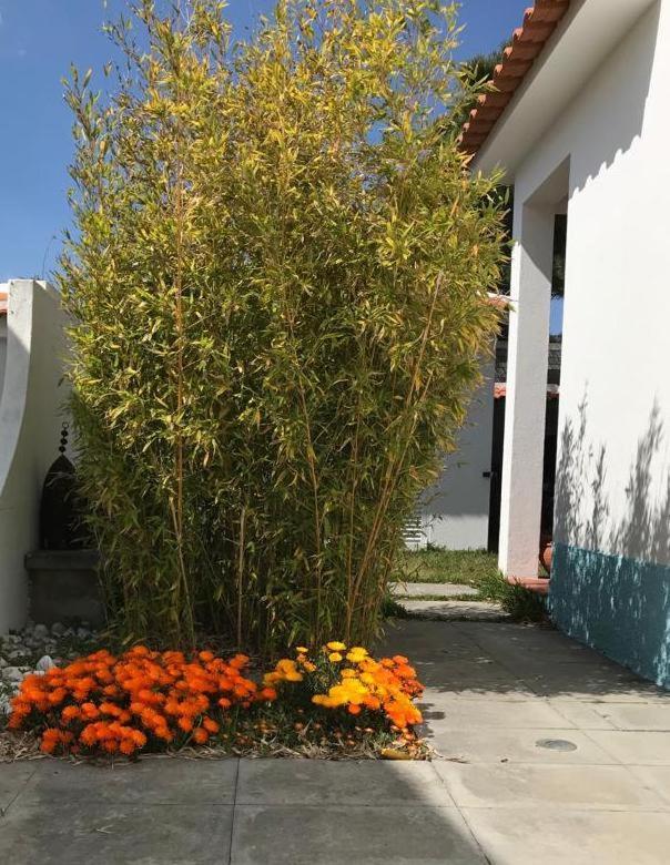 Santa Cruz Beach House Areias Exterior foto